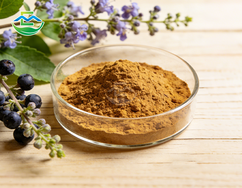 Chaste Tree Berry liquid Extract